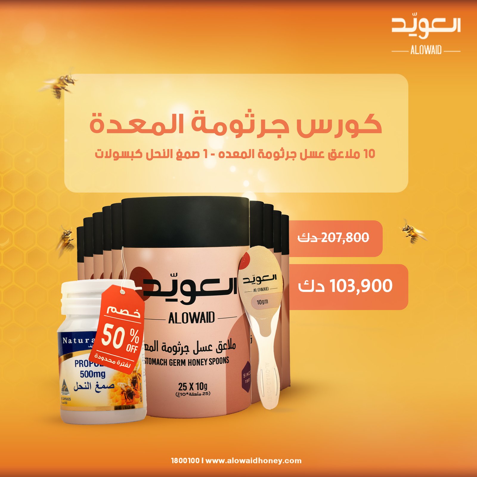 Helicobacter pylori course